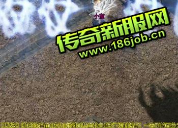 传奇私服玩家在挑选职业时要慎重思考 传奇私服玩家在挑选职业时要慎重思考