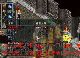 ˽ָϣɫѡװȡͼؼ