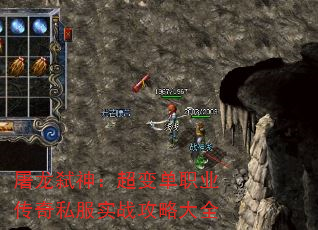 ߱񣺳䵥ְҵ˽ʵսԴȫ