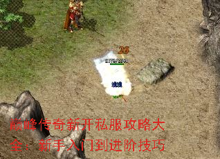 ۷崫¿˽Դȫŵ׼