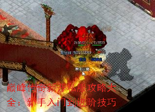 ۷崫¿˽Դȫŵ׼