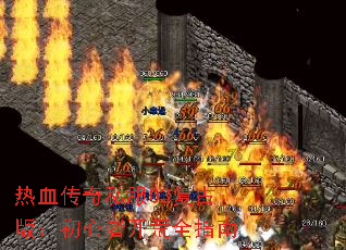Ѫ˽03Ű棺߿ȫָ