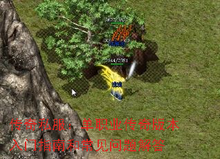 ˽ְҵ汾ָϺͳ