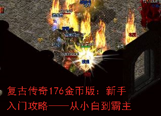 Ŵ176Ұ棺ŹԡС׵