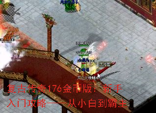 Ŵ176Ұ棺ŹԡС׵