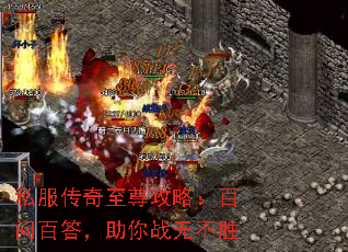 ˽ԣʰٴս޲ʤ