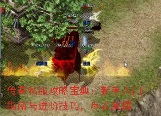 ˽Ա䣺ָ׼ɣ