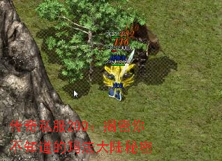 ˽20Q㲻֪귨½