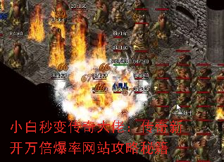 С䴫У¿򱶱վؼ