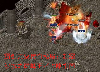 Խ˫˽ưɳ֮۷߹ָ