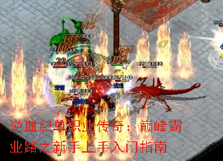 Ѫ͵ְҵ棺۷ҵ·ָ֮