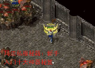 귨˽ؼʮ