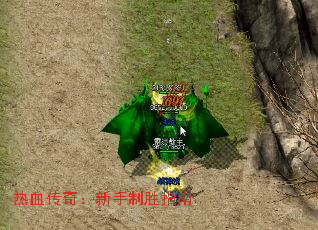 Ѫ棺ʤָ