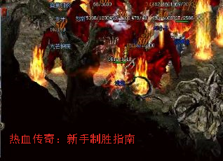 Ѫ棺ʤָ