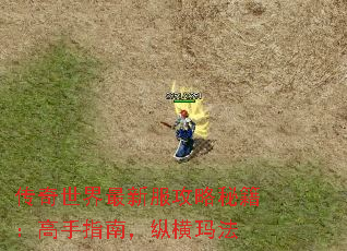 ·ؼָϣݺ귨