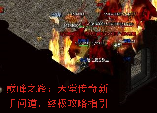 ۷֮·ôʵռָ