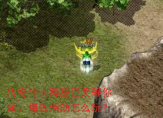 ţ˿޽죬ô棿
