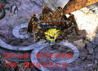 ˽ֽαرԣװؾ󹫿