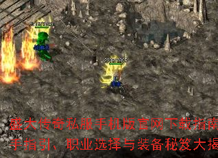 ʢ˽ָֻϣְָҵѡװŴ