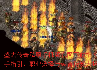 ʢ˽ָֻϣְָҵѡװŴ