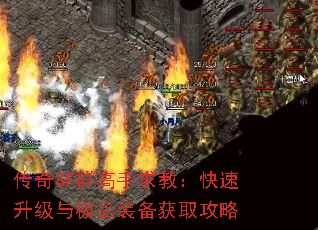 SFȺ̣뼫Ʒװȡ