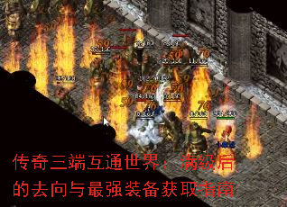 ˻ͨ磺ȥǿװȡָ