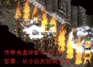 ϻSFʴ𼯣С׵۳ɳ