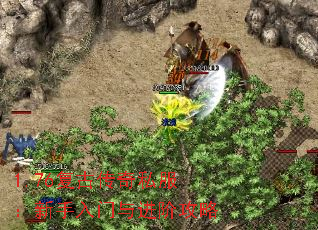 1.76Ŵ˽׹