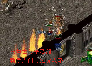1.76Ŵ˽׹