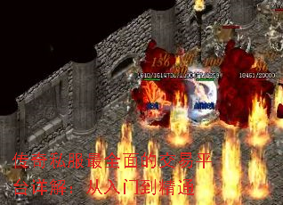 ˽ȫĽƽ̨⣺ŵͨ