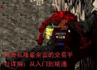 ˽ȫĽƽ̨⣺ŵͨ