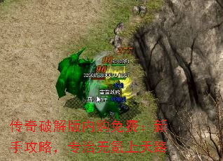 ƽڹѣֹԣר·