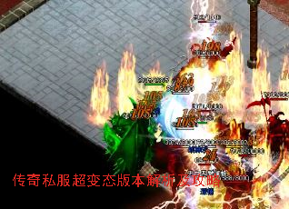 ˽̬汾