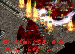 ңѪ˽ǿؼСҲܷһ