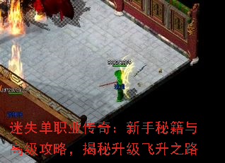ʧְҵ棺ؼ߼ԣ֮·