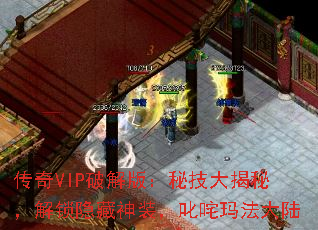 VIPƽ棺ؼأװ߳귨½