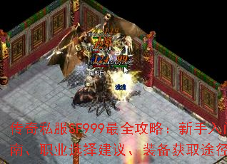 ˽SF999ȫԣָϡְҵѡ顢װȡ;