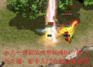 һƷ˽Buff֮űر