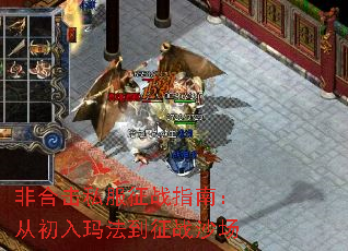 Ǻϻ˽սָϣӳ귨սɳ