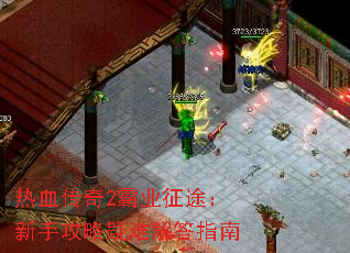 Ѫ2ҵ;ֹѽָ