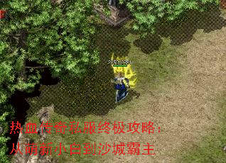 热血传奇私服终极攻略:从萌新小白到沙城霸主 热血传奇私服终极攻略:从萌新小白到沙城霸主