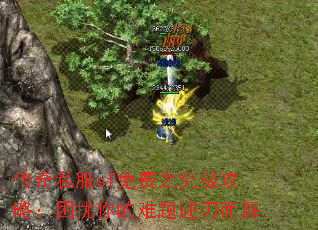 ˽sf֮ԣӭж