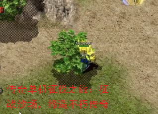浥֮ãսɳ첻ഫ
