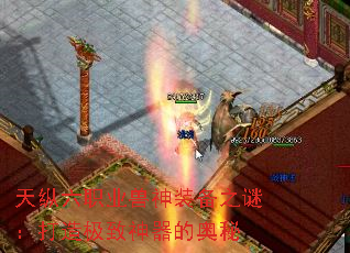 ְҵװ֮գ켫İ