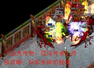 촫棺紫Сռԣ̽δ֪ؾ
