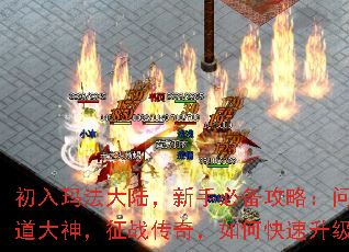 귨½ֱرԣʵս棬ο