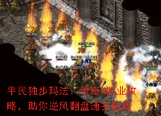 ƽ귨4ְҵԣ緭ͨؼ