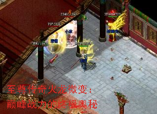 ΢䣺۷սռ