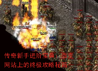 ֽױ䣺΢վϵռؼ