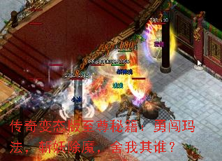 ̬ؼ´귨նħ˭